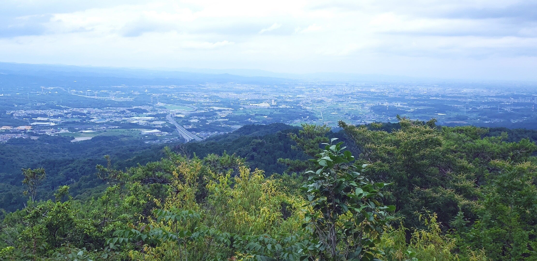 猿投山・大岩展望台付近