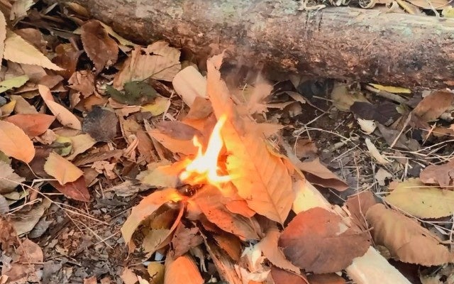 燃えやすい薪の皮は焚き付けにも役に立つ