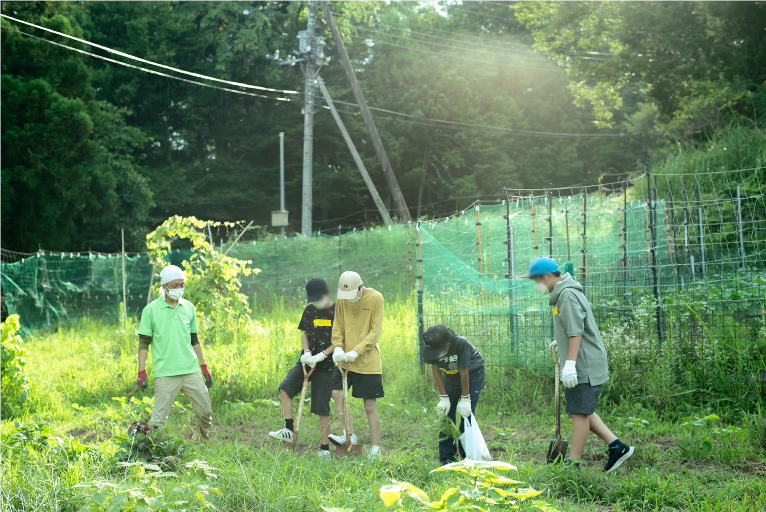 デジタルデトックス農業体験の様子