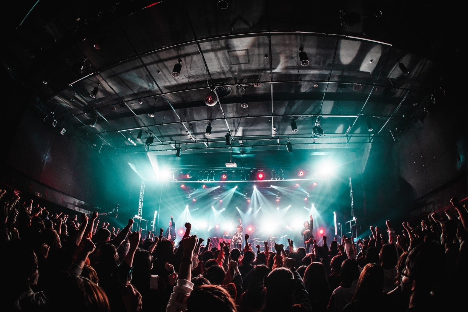 (撮影 イノコシ ゼンタ)