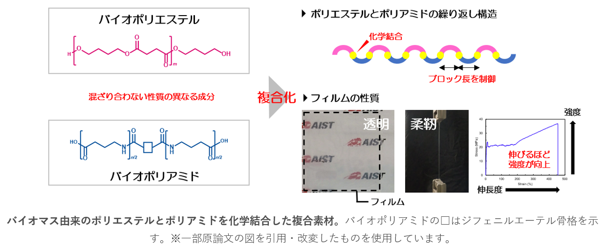 バイオプラスチックの高機能化・再資源化技術 CO2排出量を約40%削減出来る高機能バイオ素材「NeCycle®」を使用