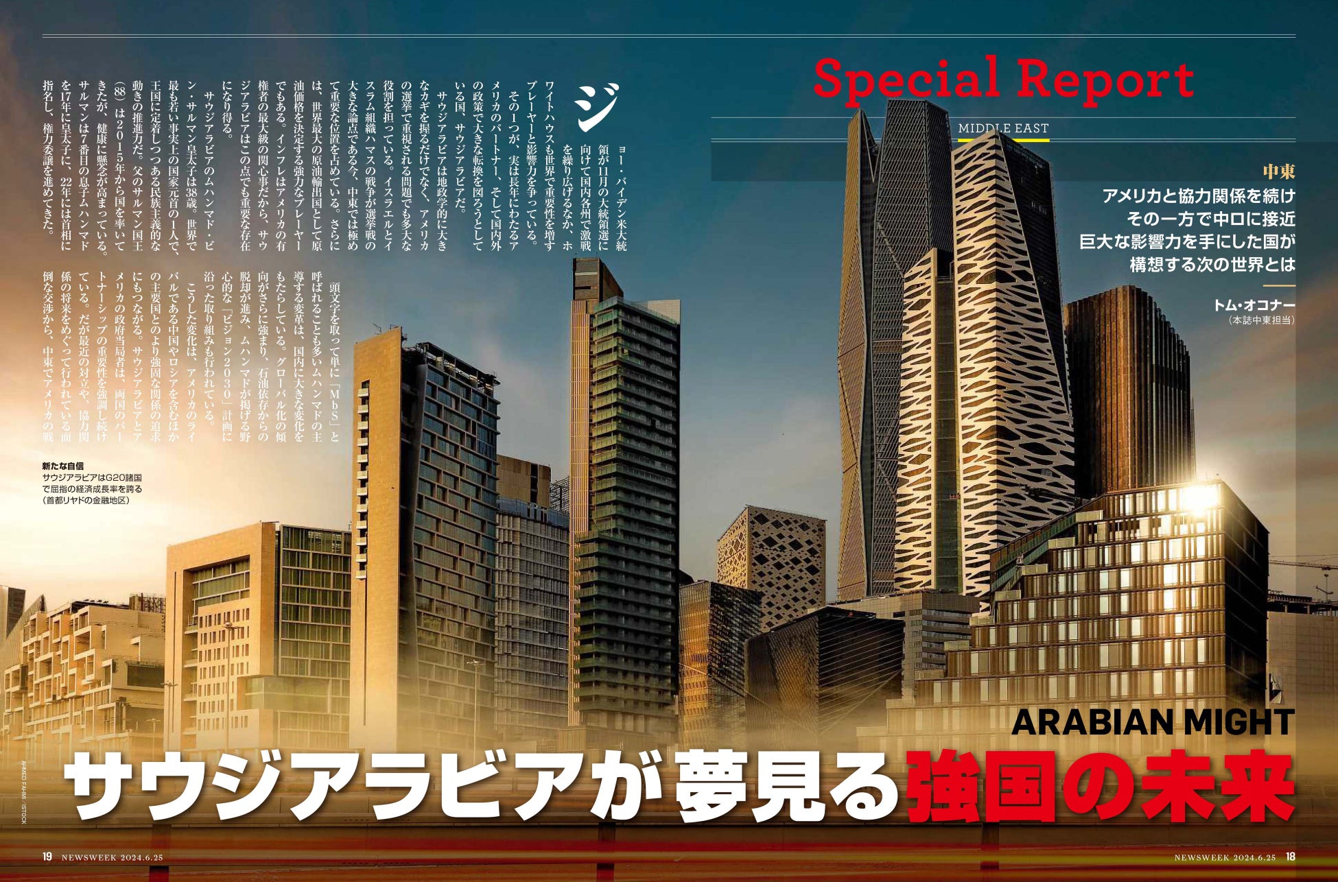 ニューズウィーク日本版 2024年6月25日号 特集