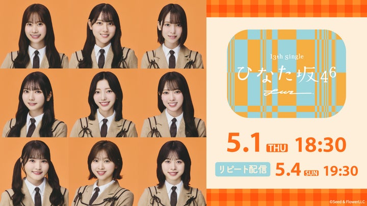 日向坂 猫耳 生写真 全メンバー コンプ 日向坂 猫耳 生写真 全 日向坂 猫耳 生写真 全メンバー コンプ 日向坂 猫耳 生写真 全