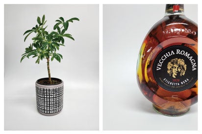 S22Ultraでの撮影写真