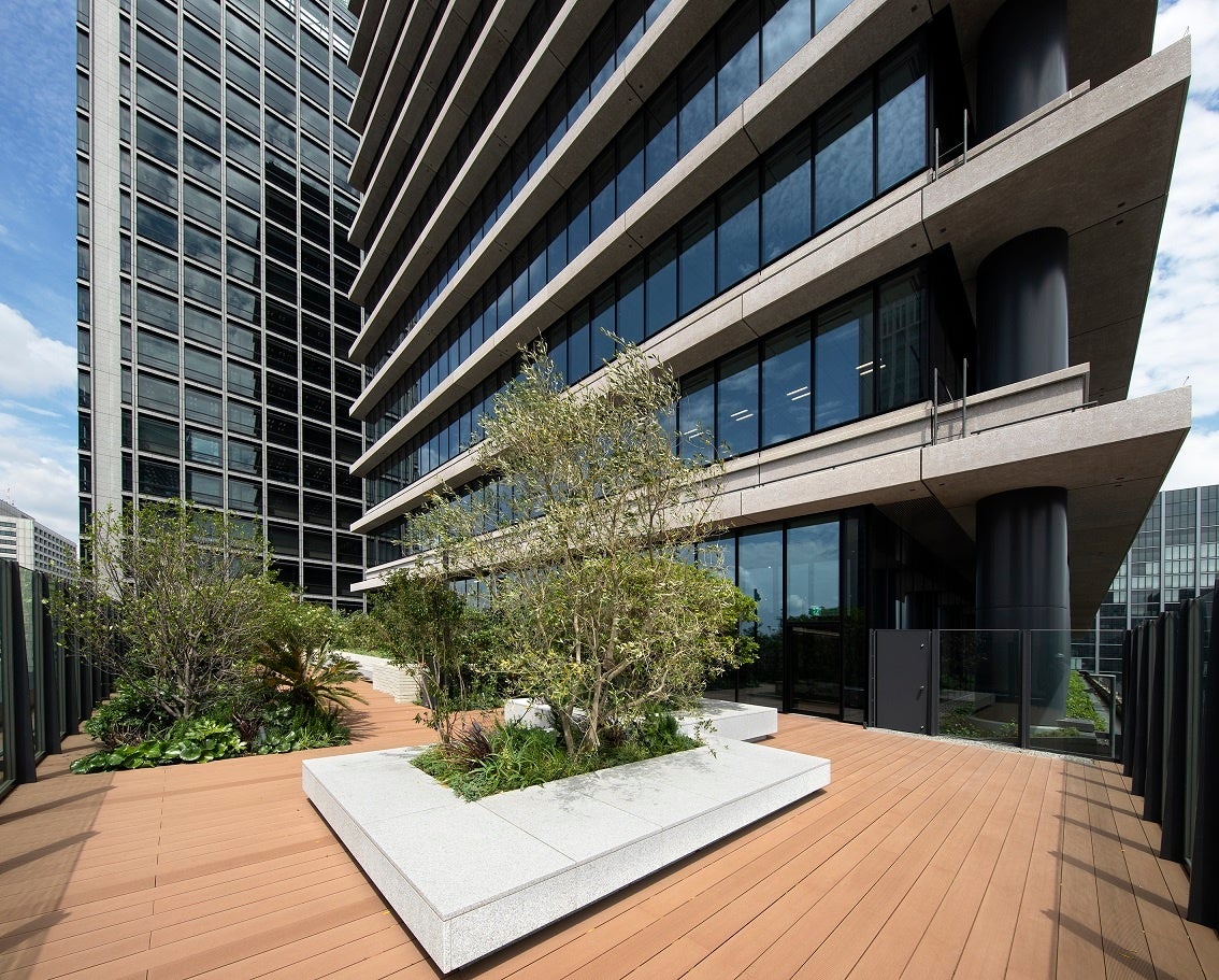 スカイガーデン