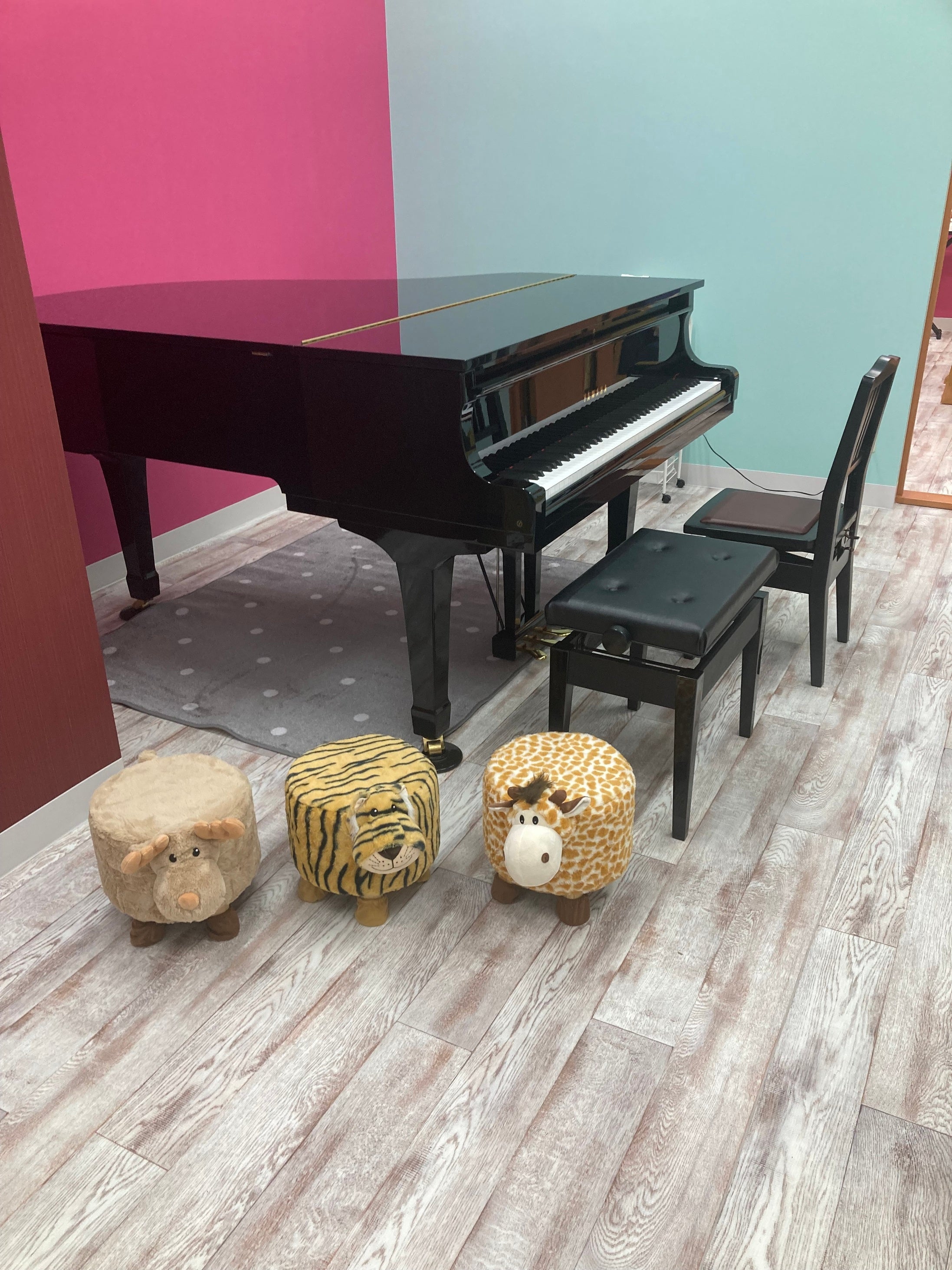 レッスン室では、すべてグランドピアノを使用