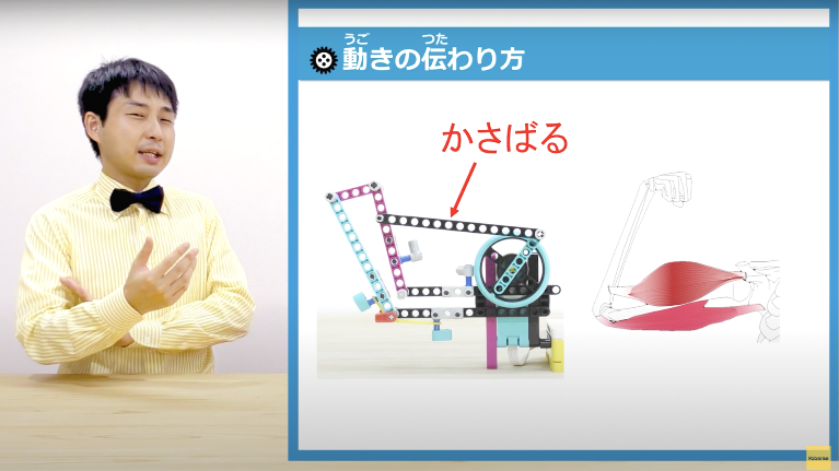 映像授業を用いた視覚的にわかる動画