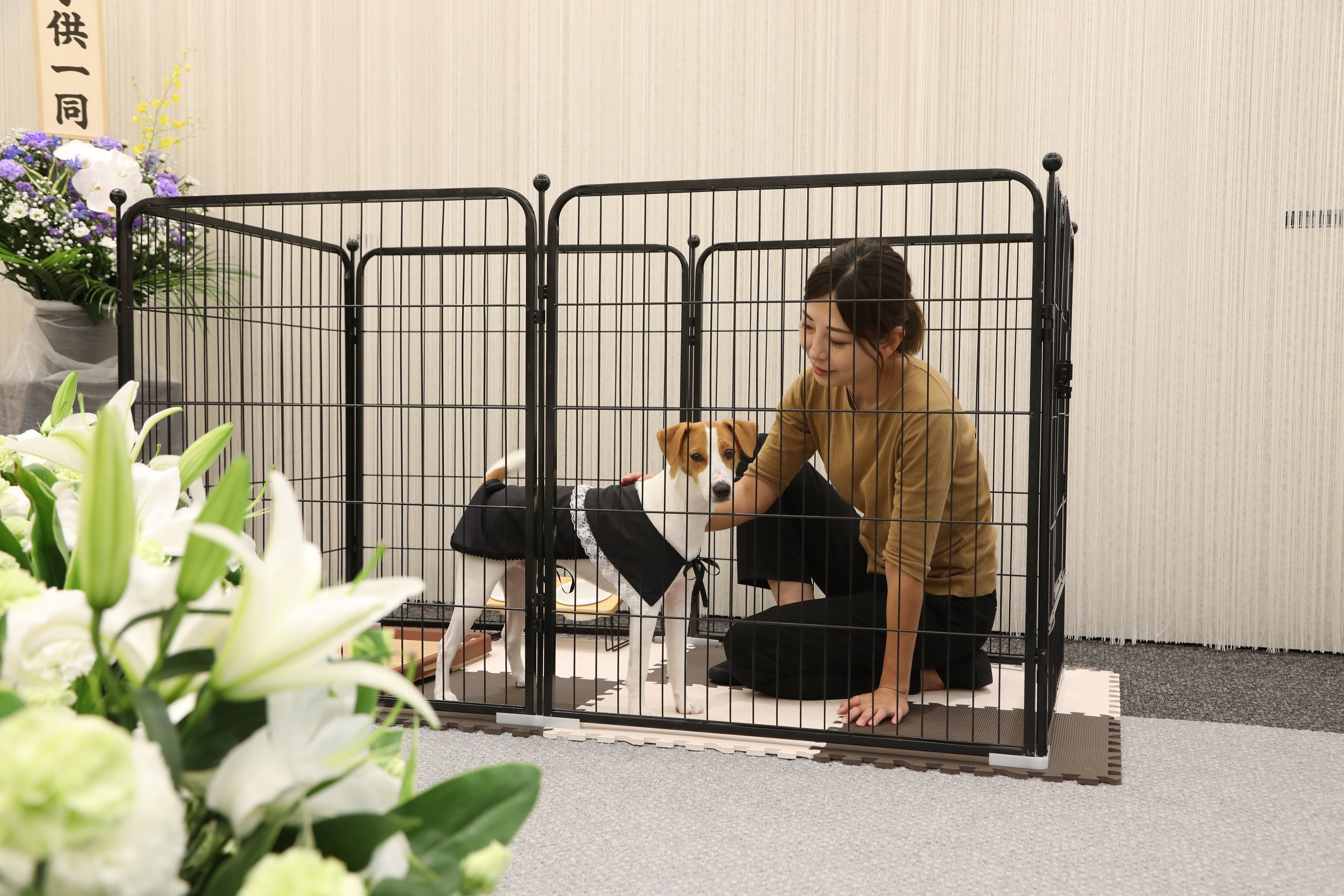 ペットシッターの手配も可能です。