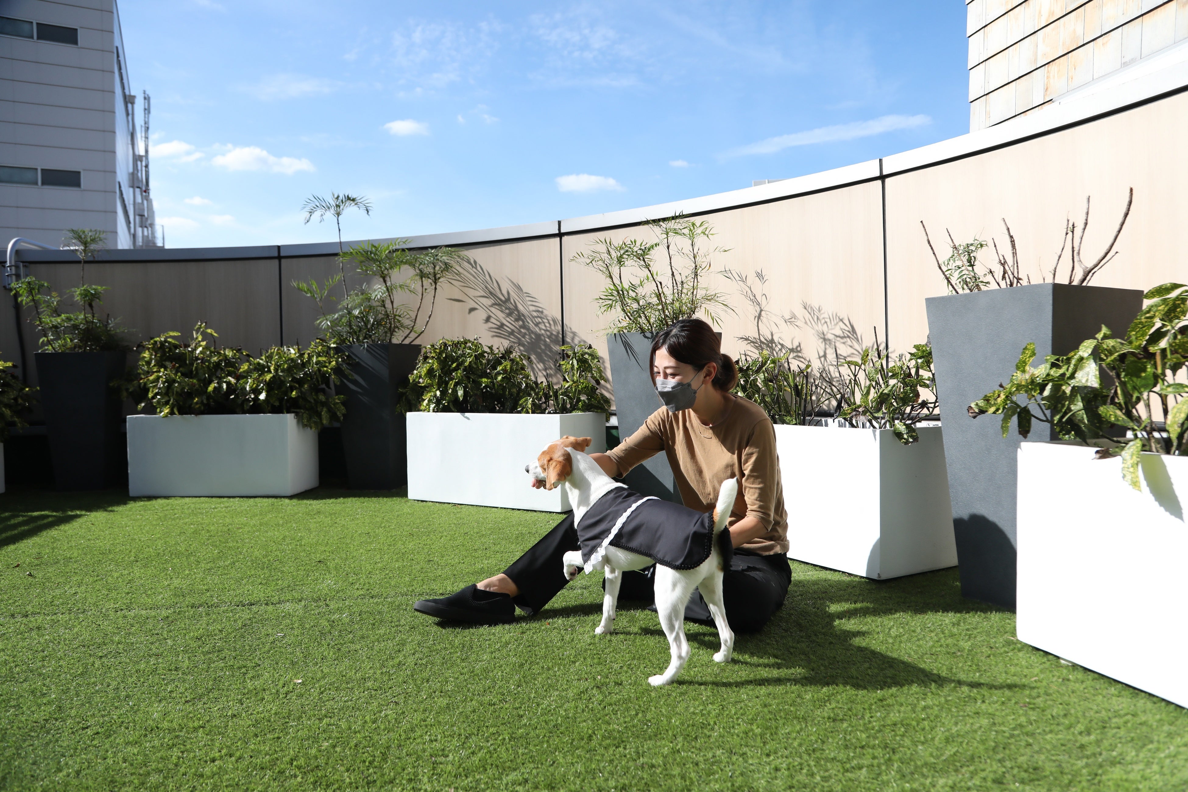 ドックラン(仲池上店)