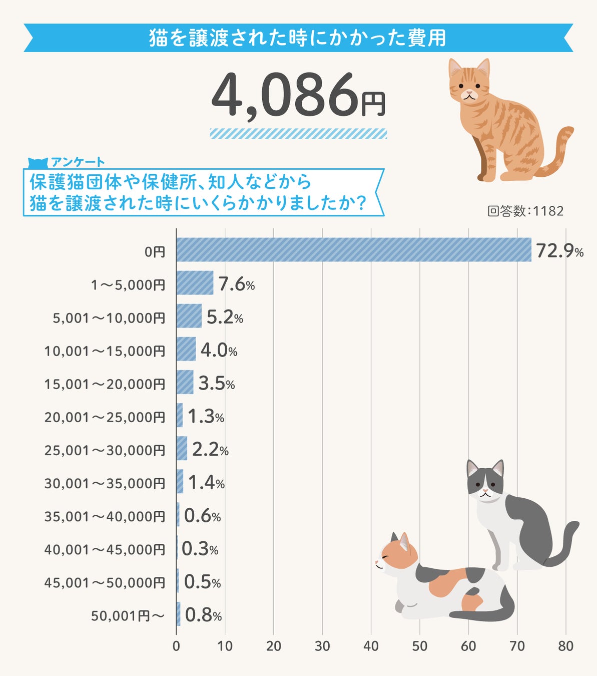 猫を譲渡された時にかかった費用