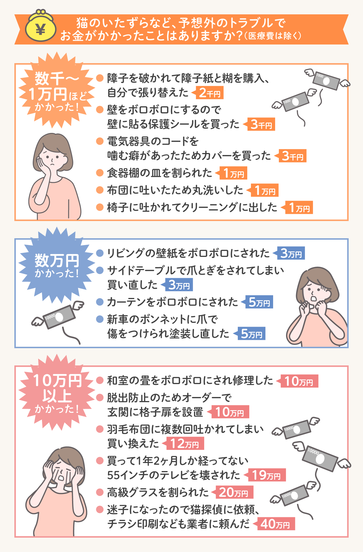 猫のいたずらなどによるトラブル