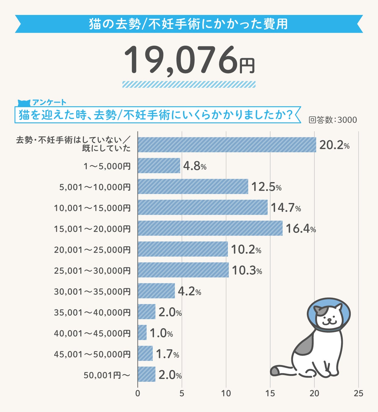 猫の去勢・不妊手術にかかった費用