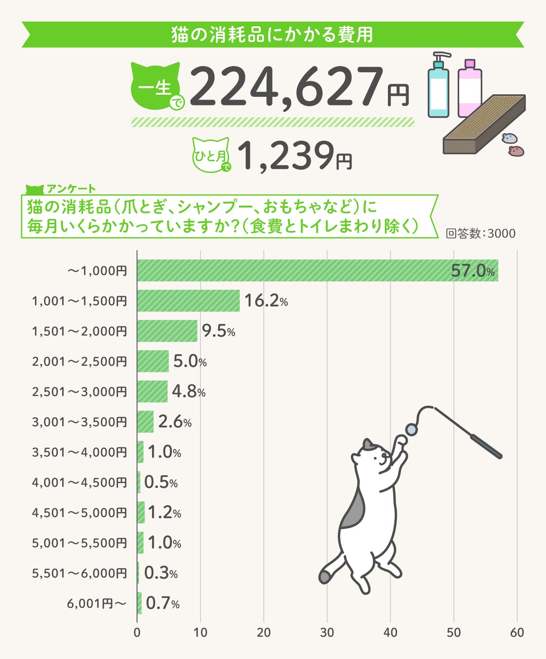 猫の消耗品にかかる費用