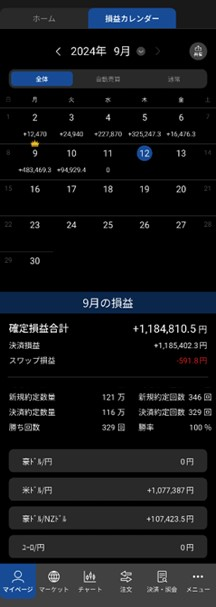 損益カレンダー