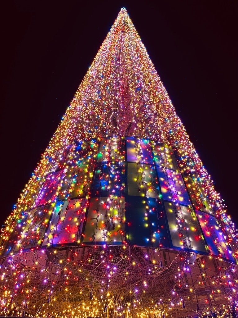 南河内最大級!LICはびきのウインターイルミネーション開催中! 南河内最大級!LICはびきのウインターイルミネーション開催中!