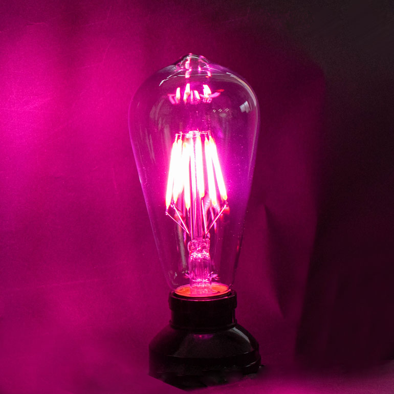 ピンク色フィラメント電球