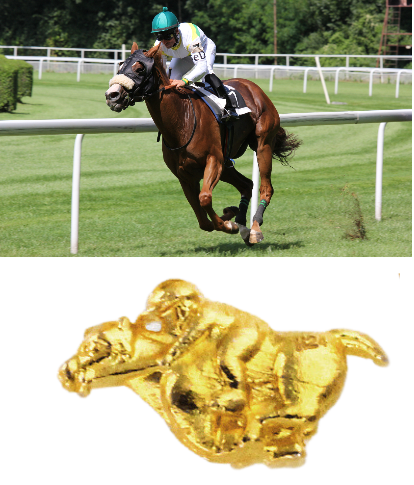 純金 開運馬 お守り 5.1g 純金 9999 5.1g 開運馬 未開封 - メルカリ