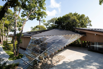 シースルー太陽光パネル