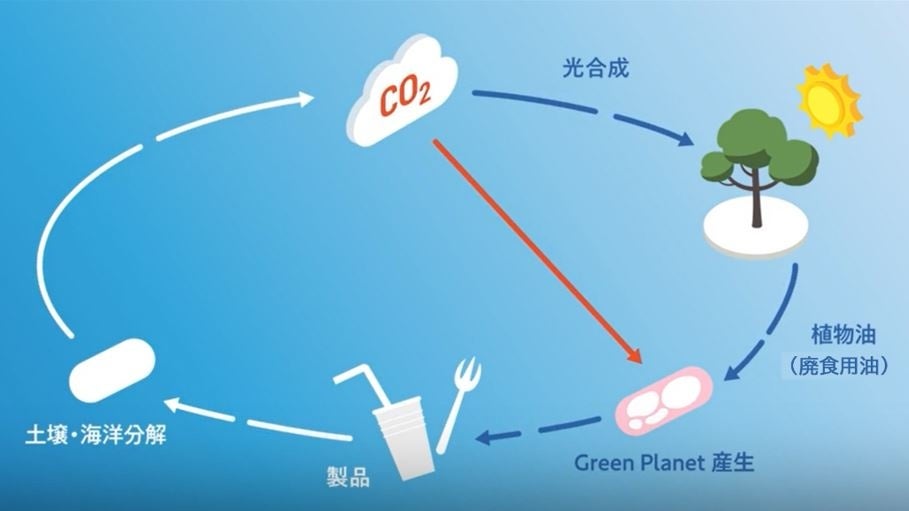 Green Planetの循環イメージ