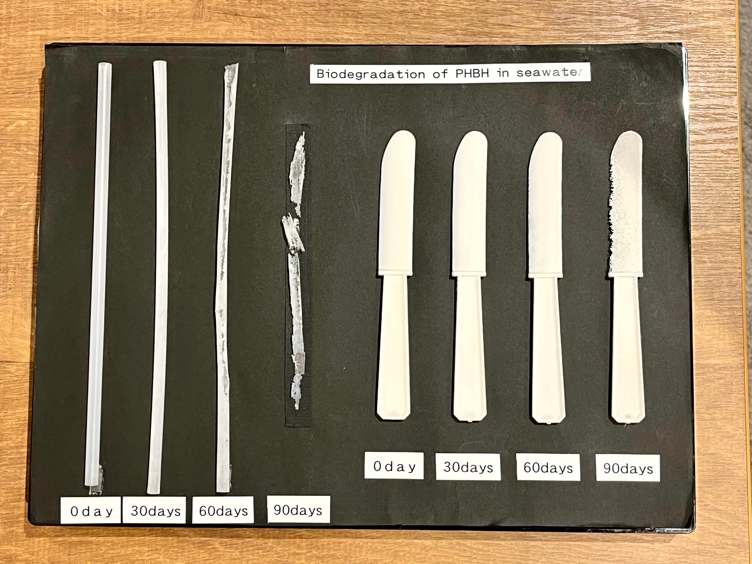 海水中での分解の様子※