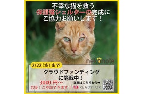 熊本県【行き場のない猫達に暖かいお家と新しい家族を!】〜最後まで命を全うする〜保護猫シェルター「ねこのて」クラウドファンディングに挑戦中!