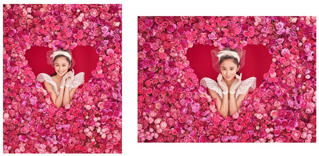 ゼクシィ13代目CMガール堀田 真由が2月号の表紙に登場 バラに囲まれた