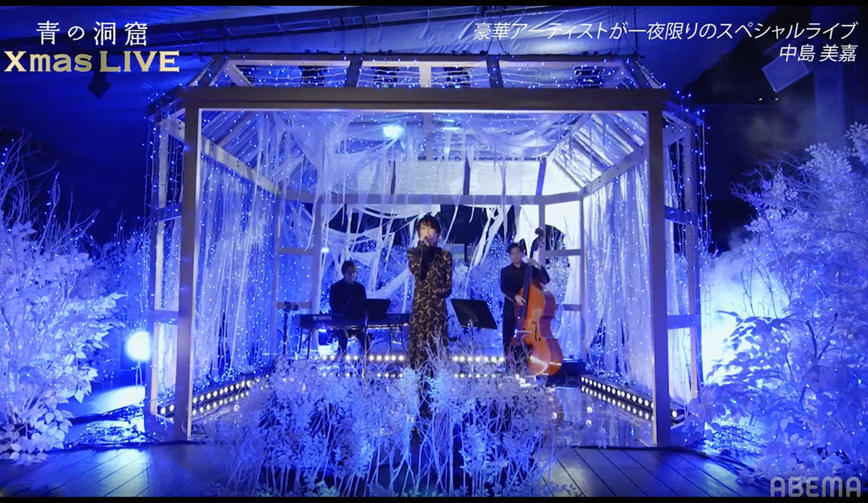 ▲AbemaTV　青の洞窟クリスマスライブ