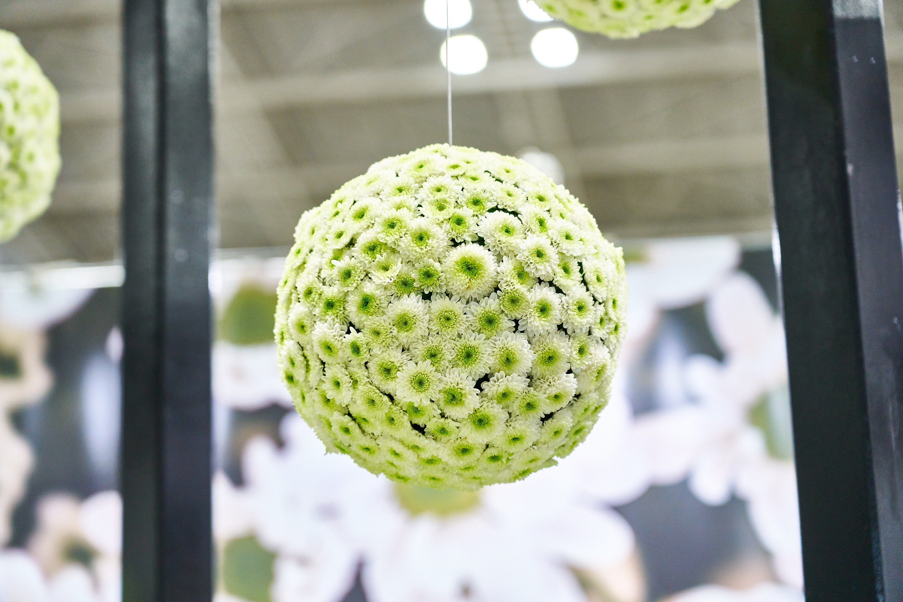 ラウンド型にしたフェリー