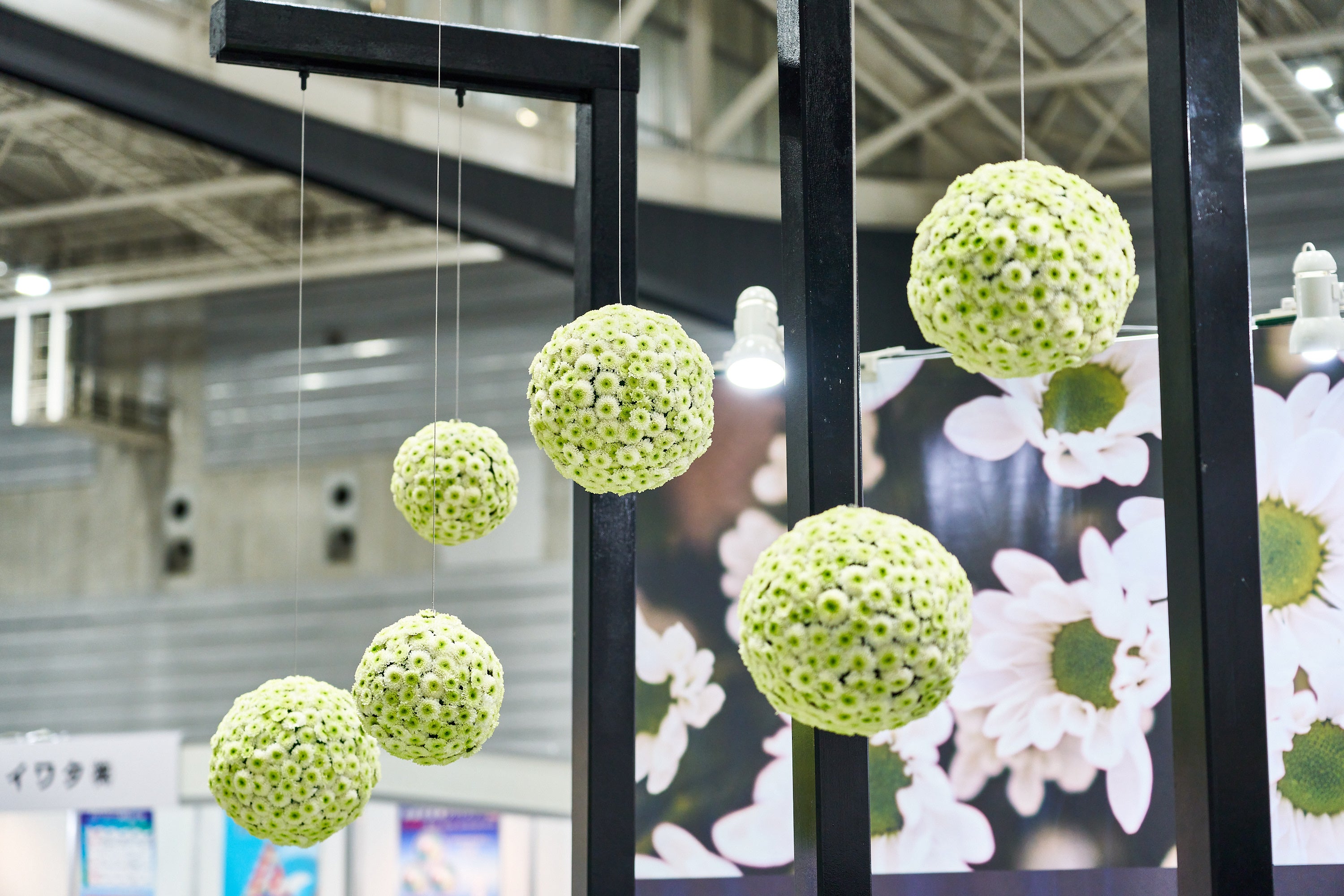 ラウンド型にしたフェリー