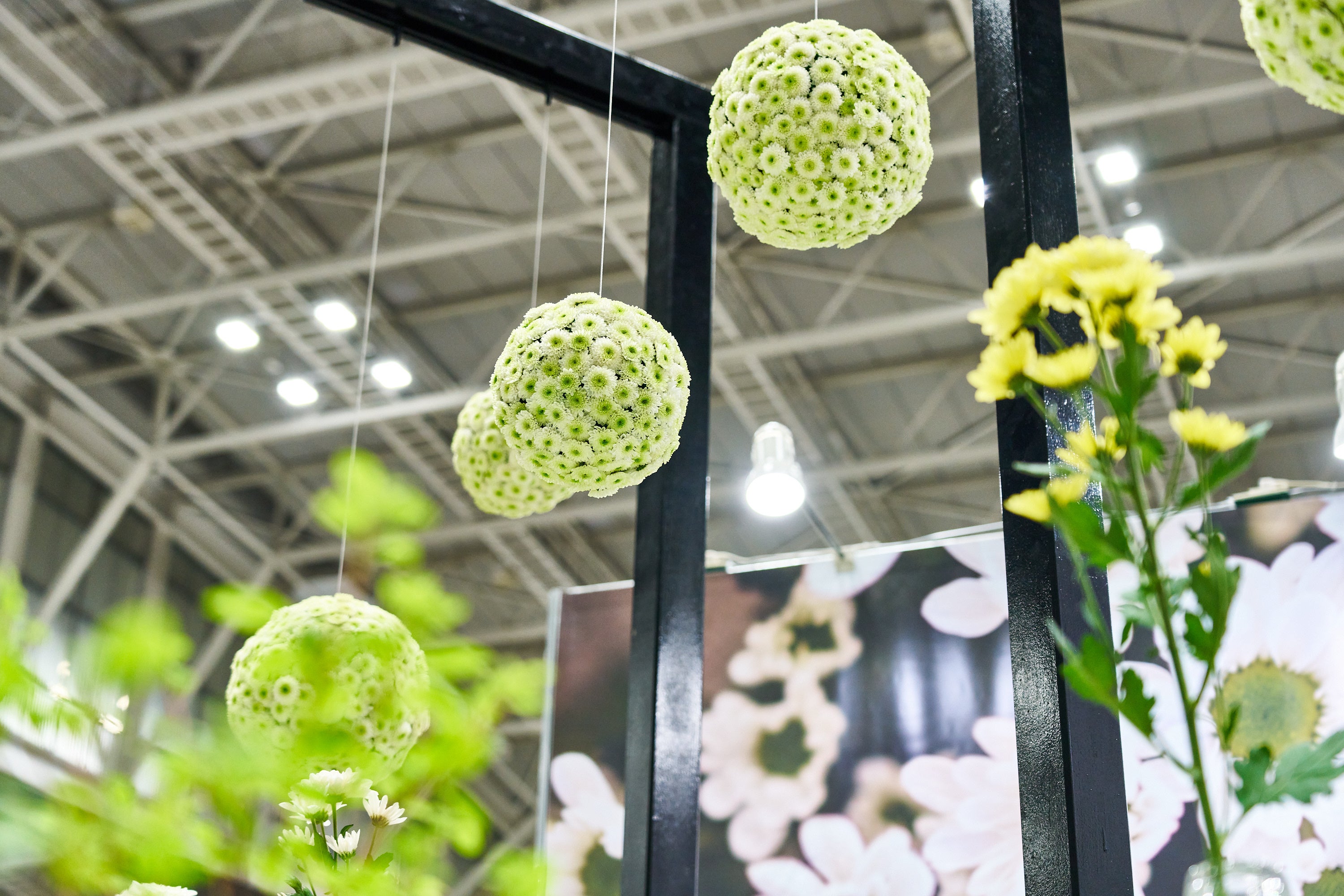 ラウンド型にしたフェリー