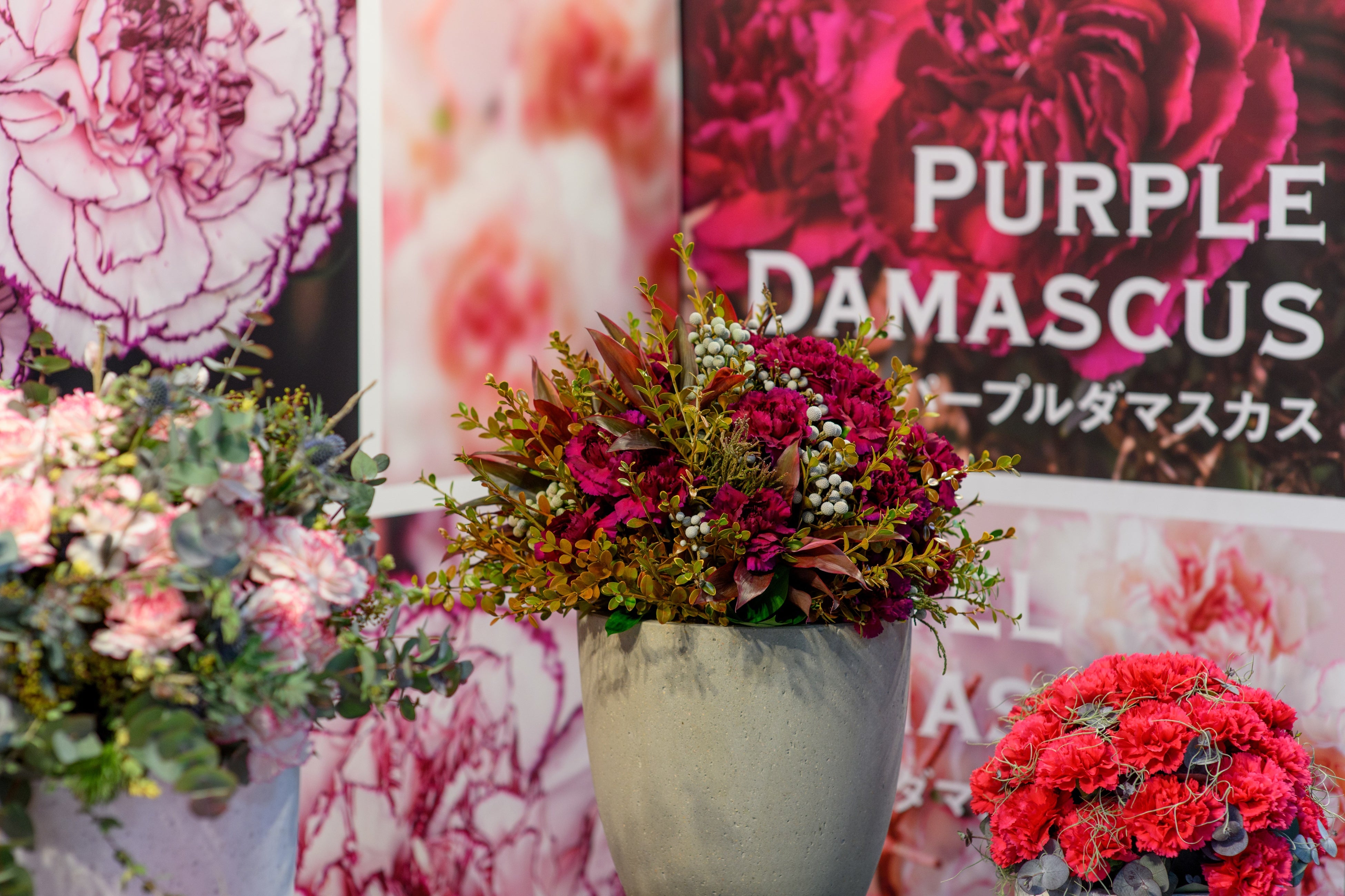 パープルダマスカス