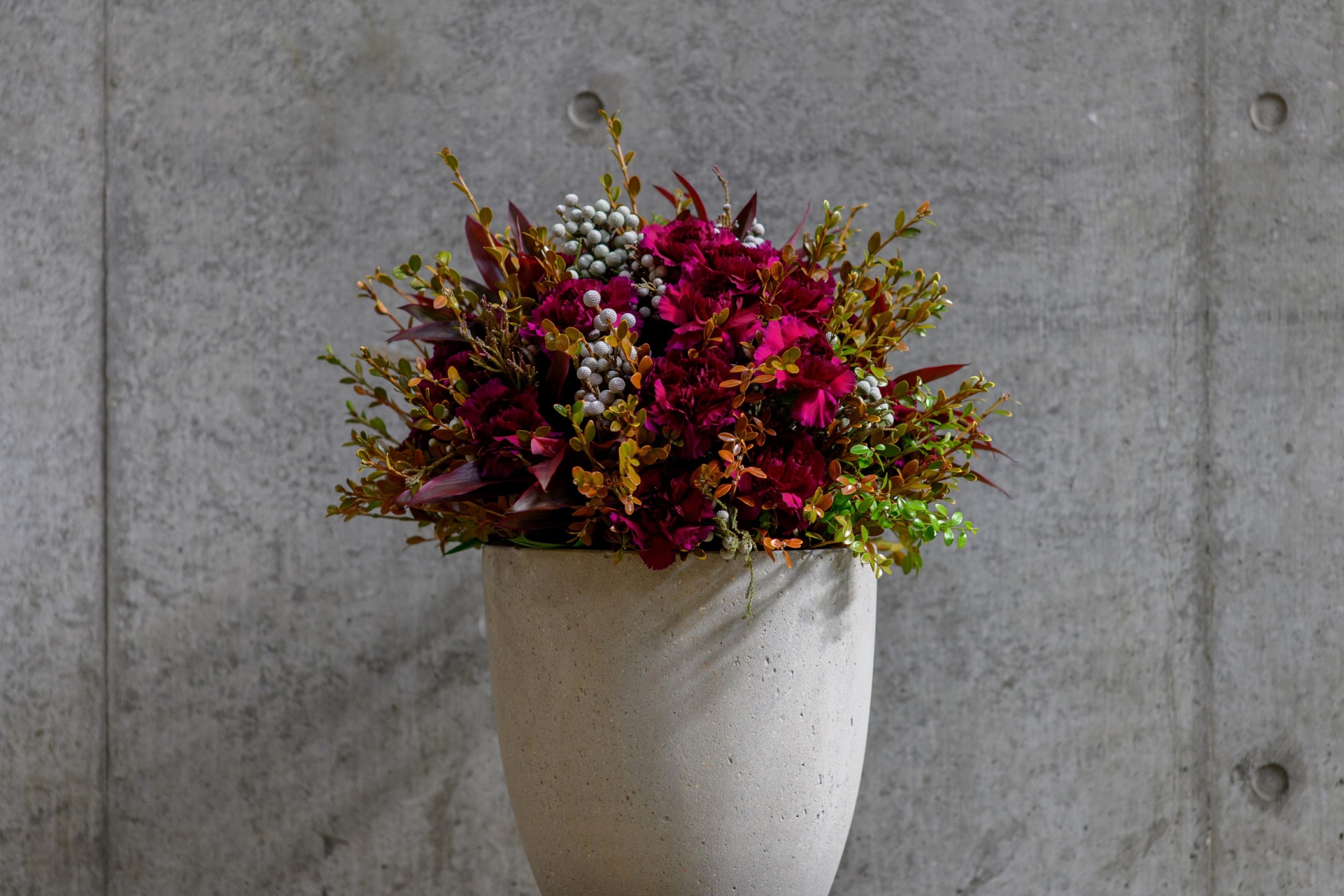 パープルダマスカス