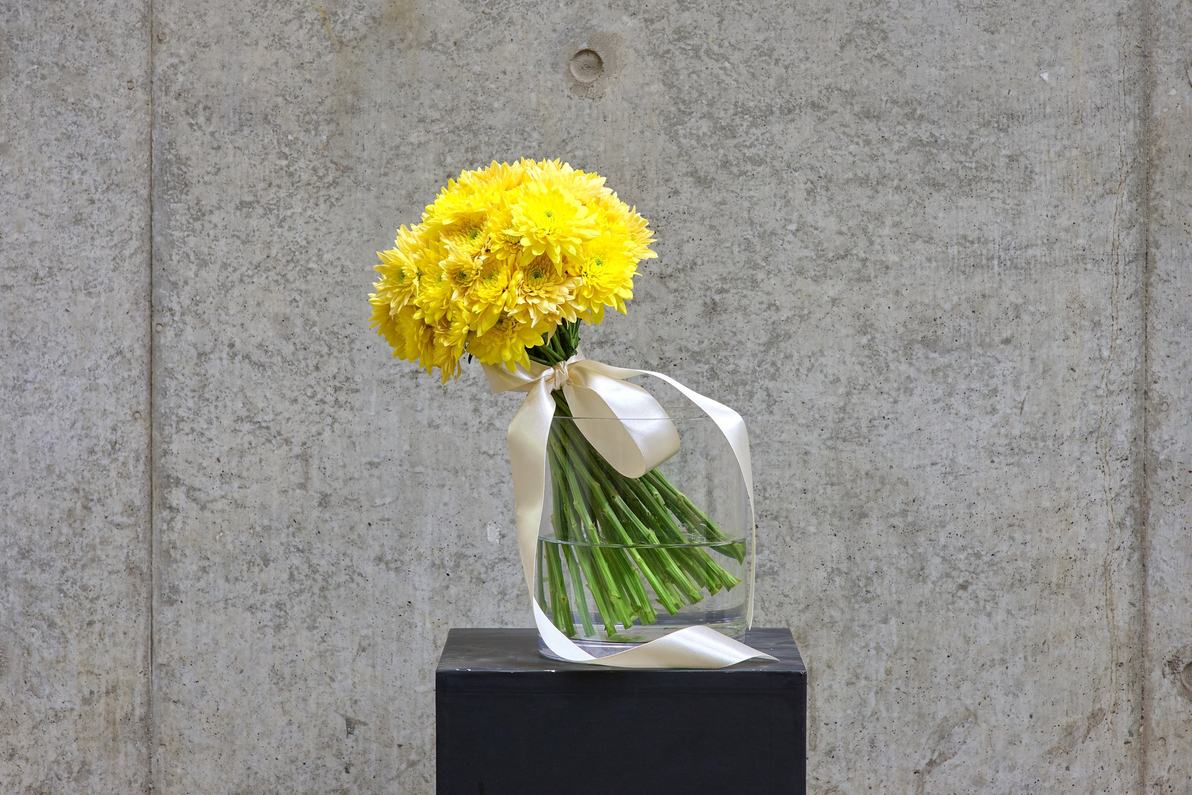 パステラサニー＆ファボリ