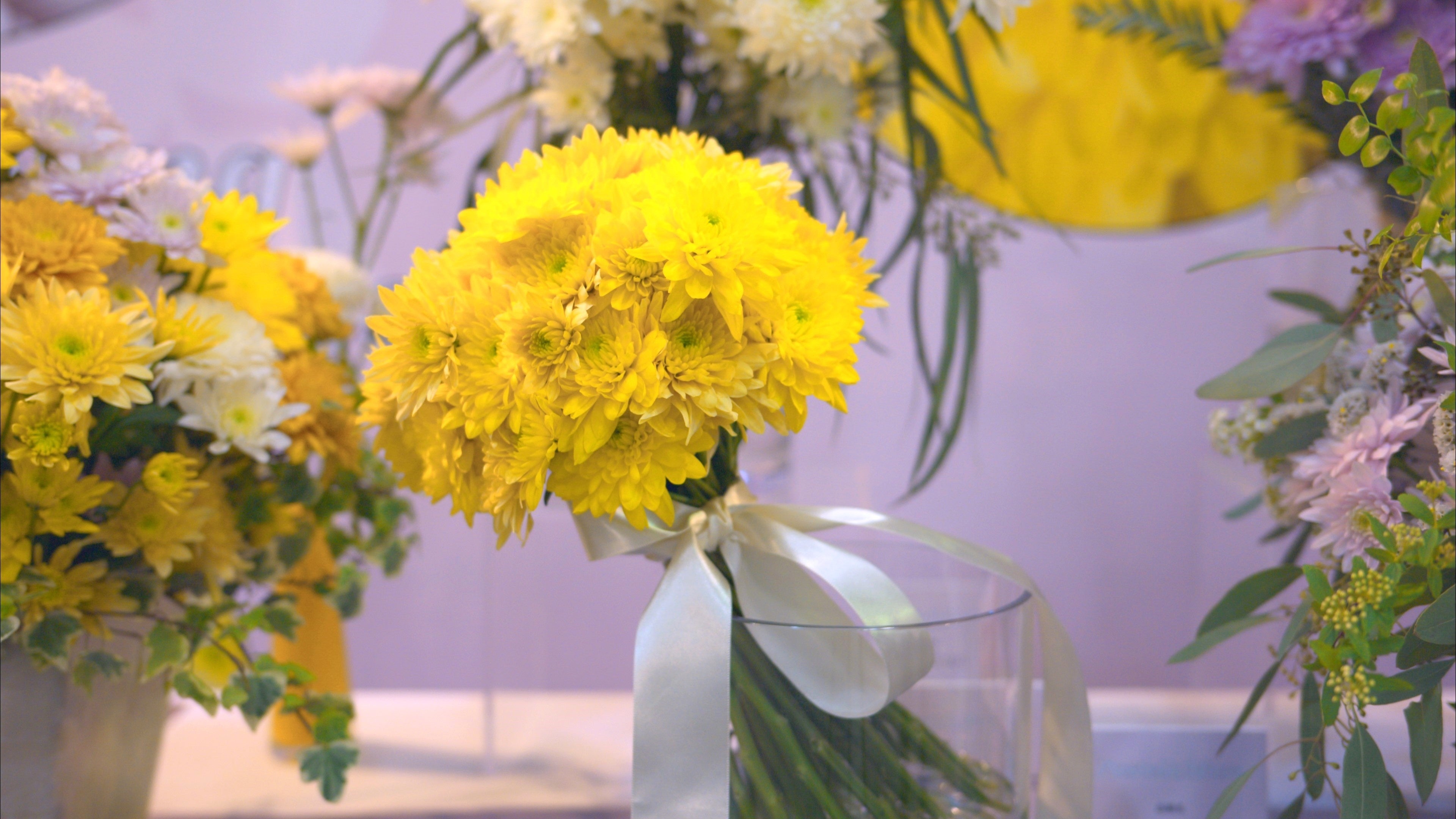 パステラサニー＆ベリーニ