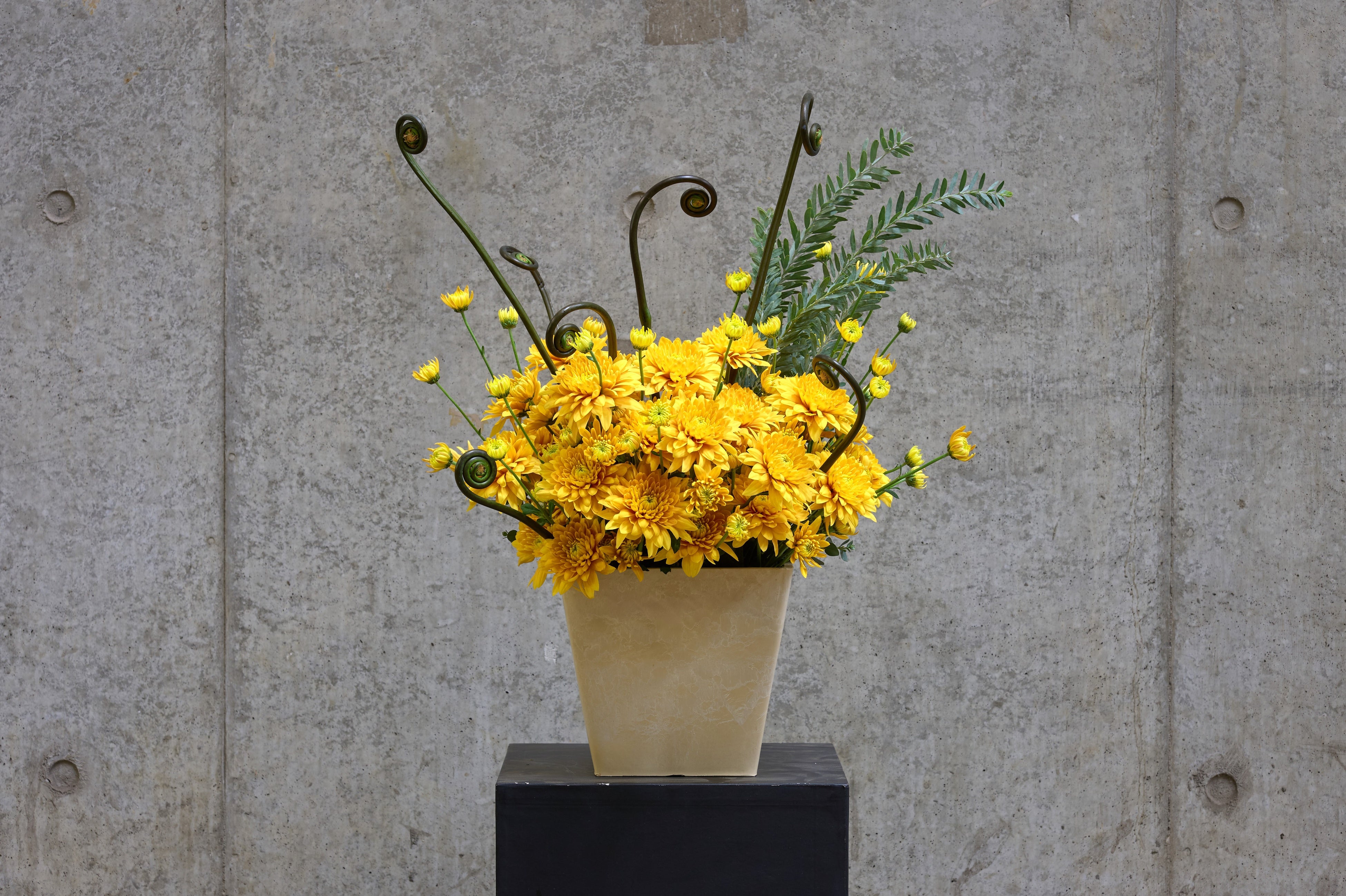 パステラファボリ