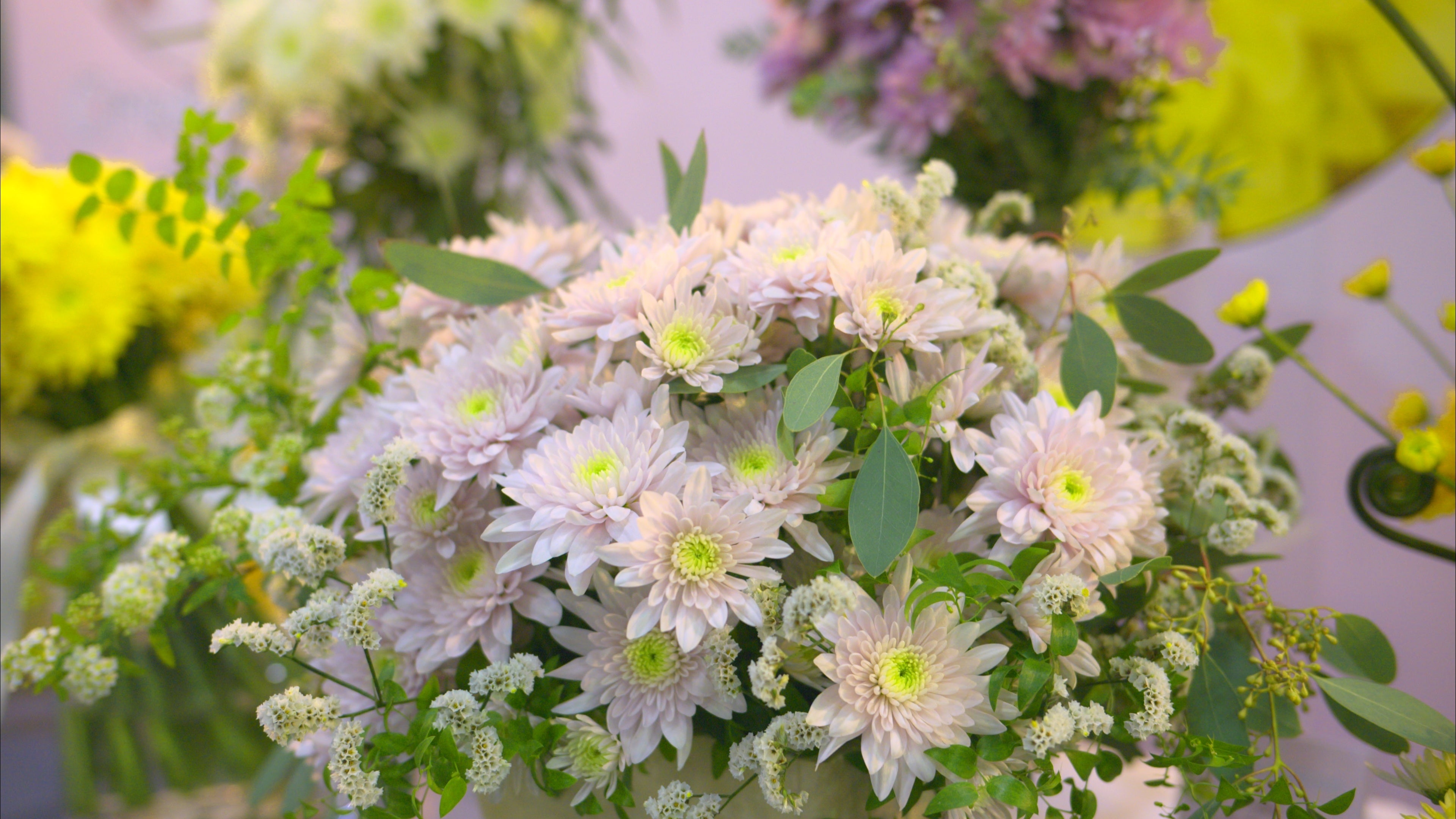 パステラローズ