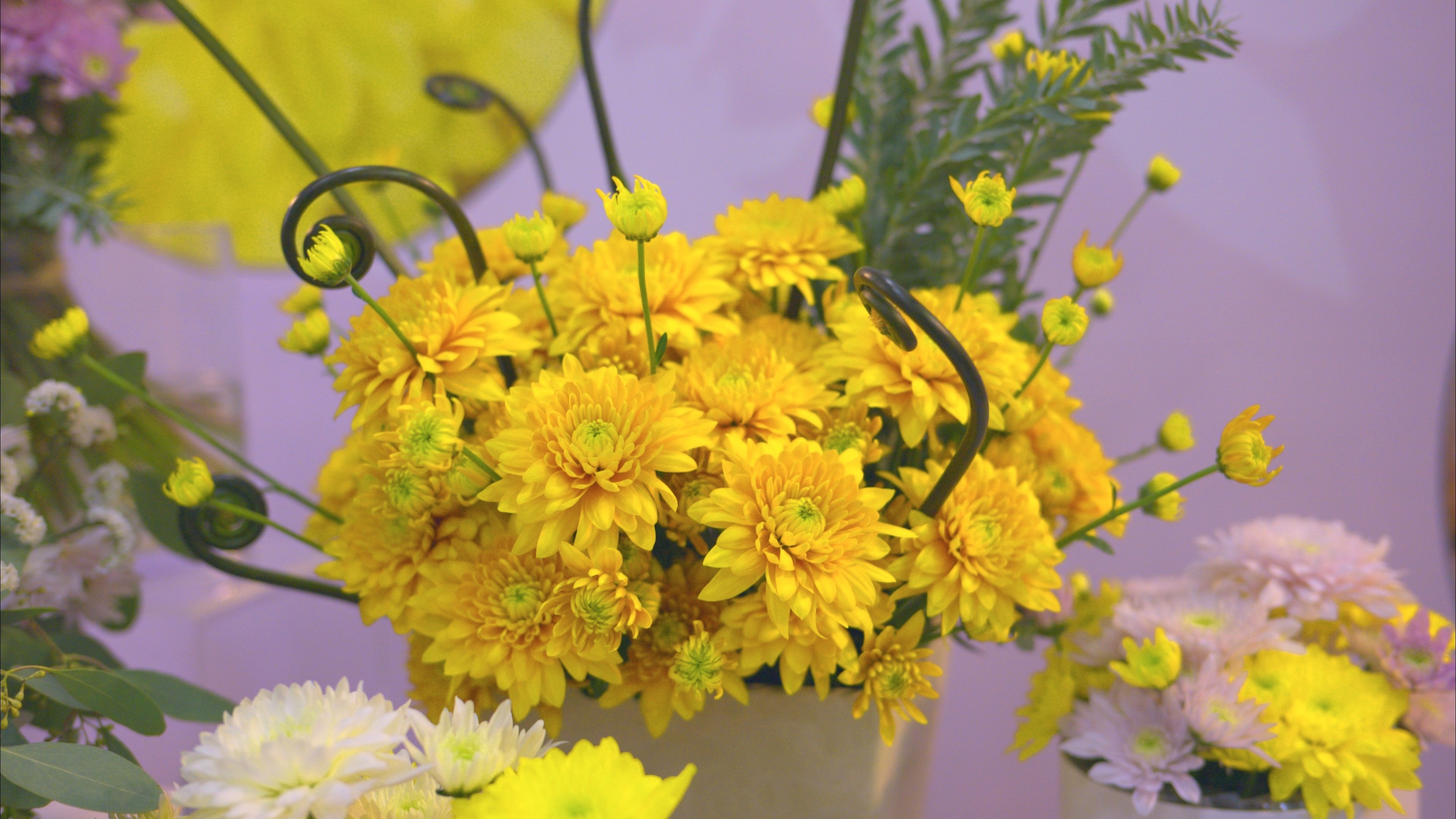 パステラファボリ