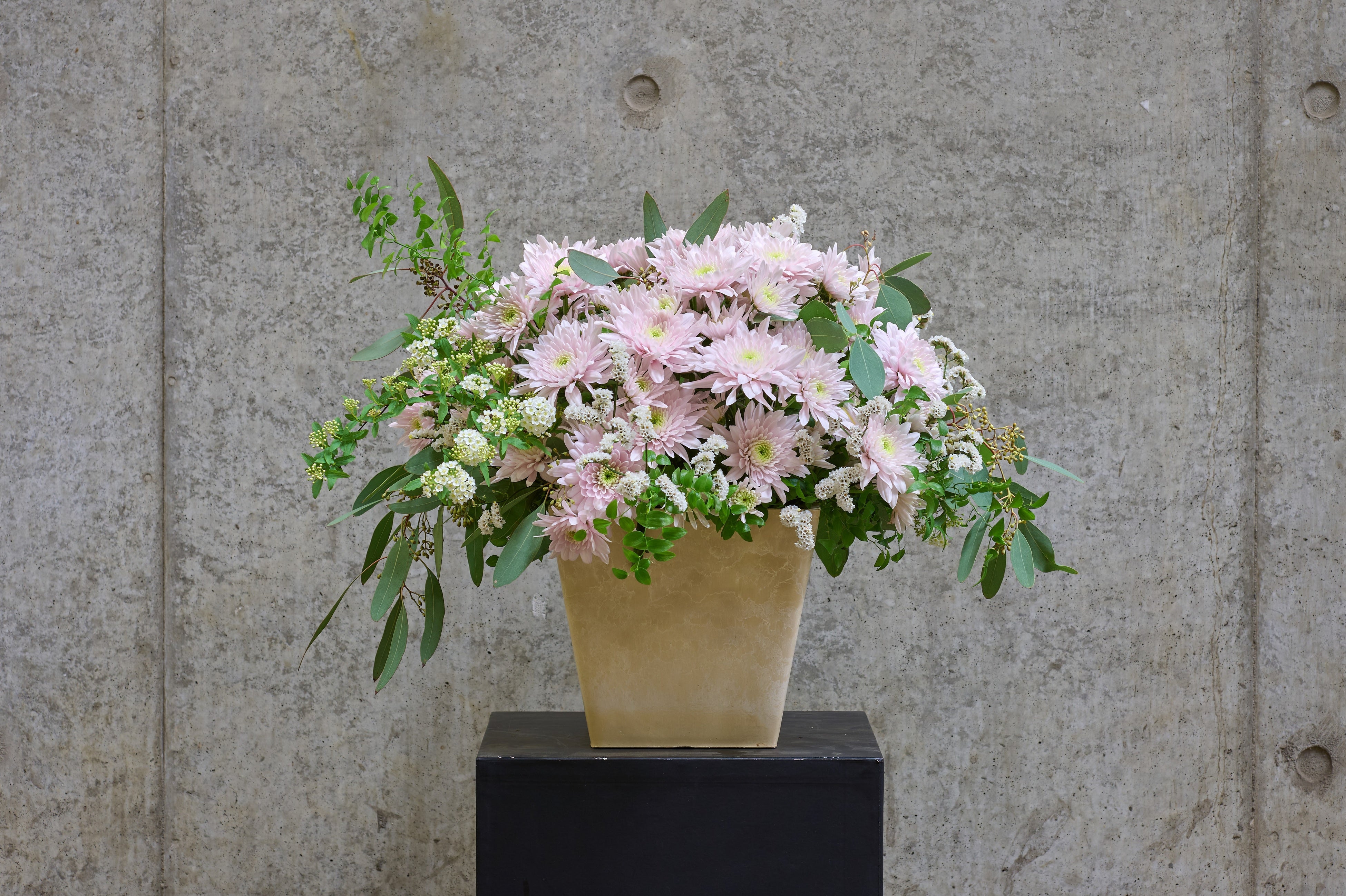 パステラローズ