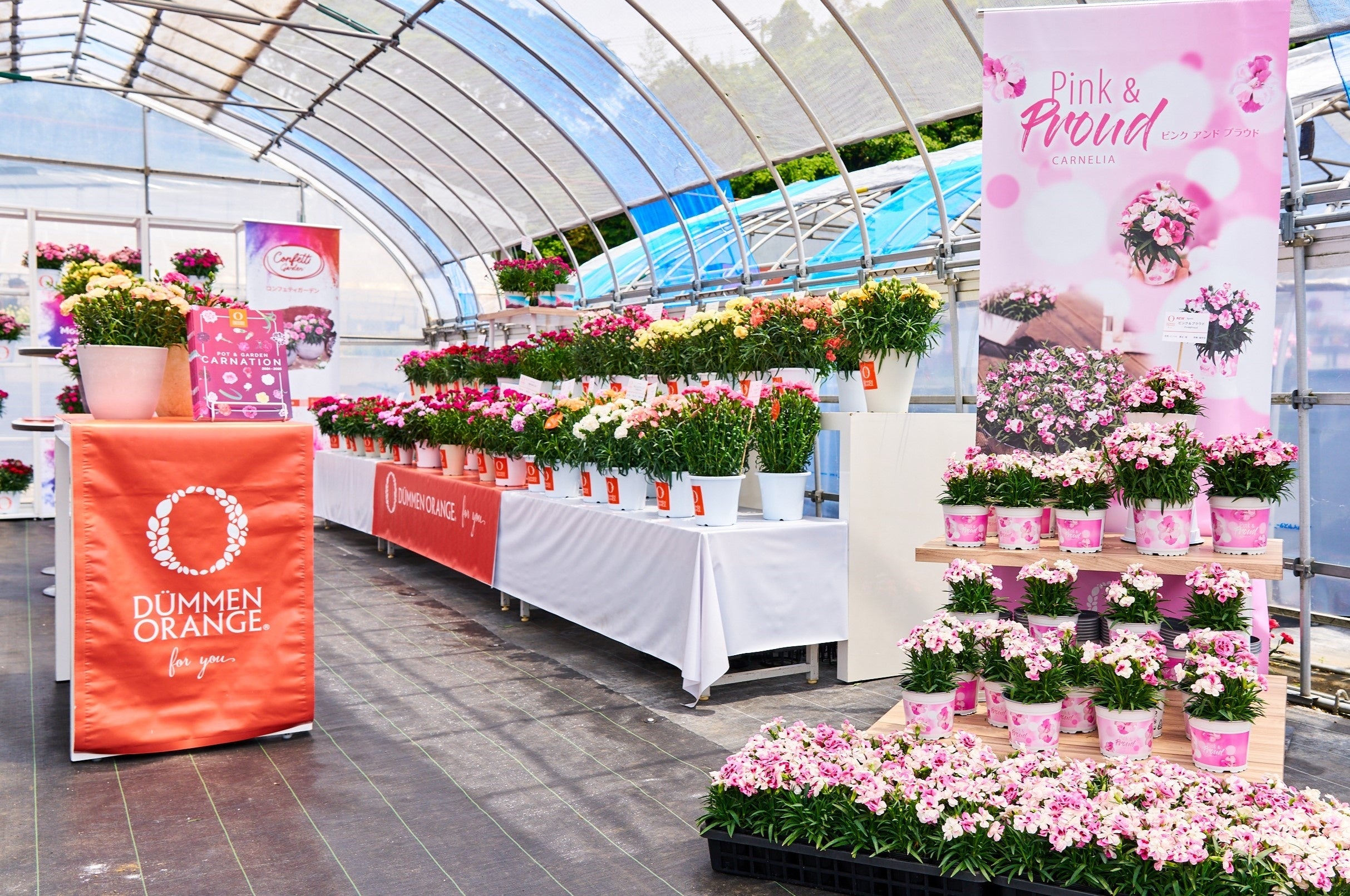 カーネーションの展示ブースでエントランスを飾った「ピンク＆プラウド」