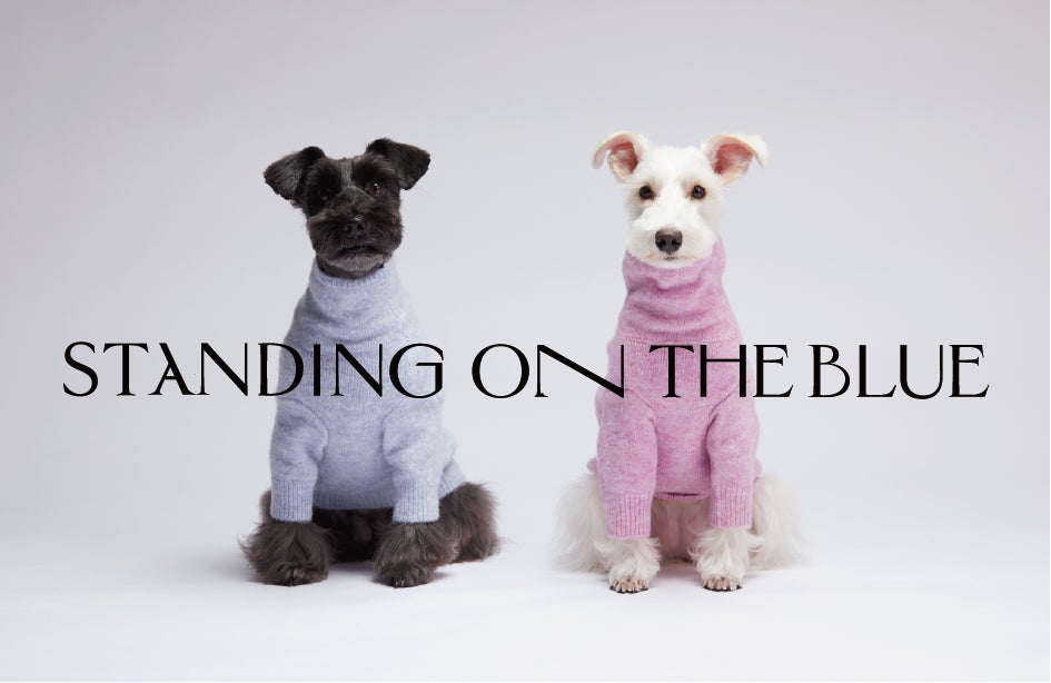 ペットブランド「STANDING ON THE BLUE」10月は3つのドッグイベントに ペットブランド「STANDING ON THE BLUE」10月は3つのドッグイベントに