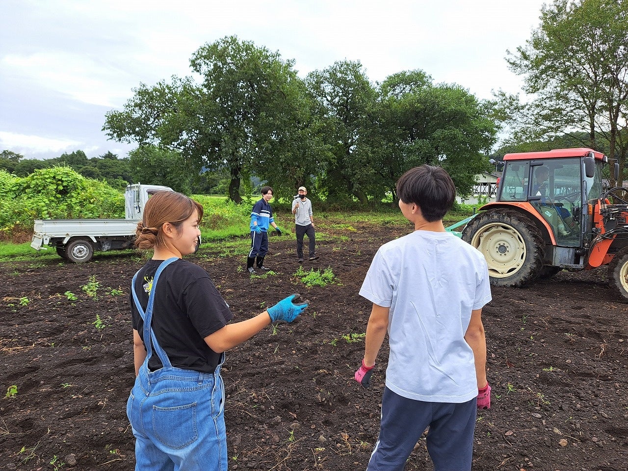 畑の土壌づくり