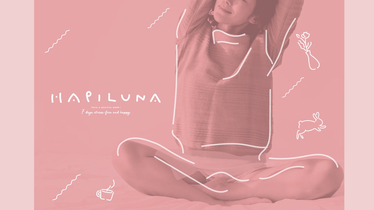 HAPILUNA サニタリーショーツ　吸収ショーツ　Lサイズ 6枚セット HAPILUNA / 3COINS