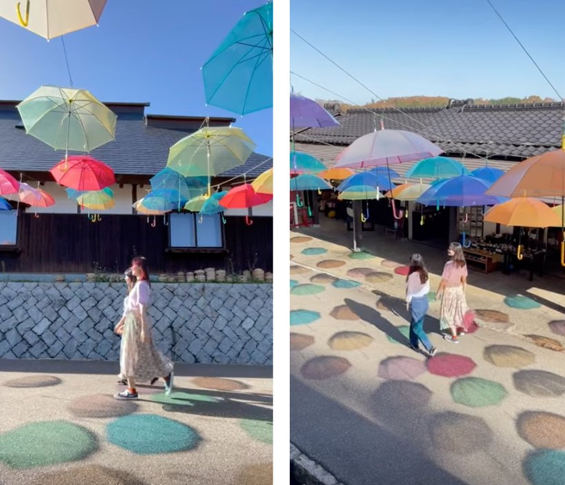 ゆのくにの森で楽しめる多彩な体験を、 動画を通して体感可能です。