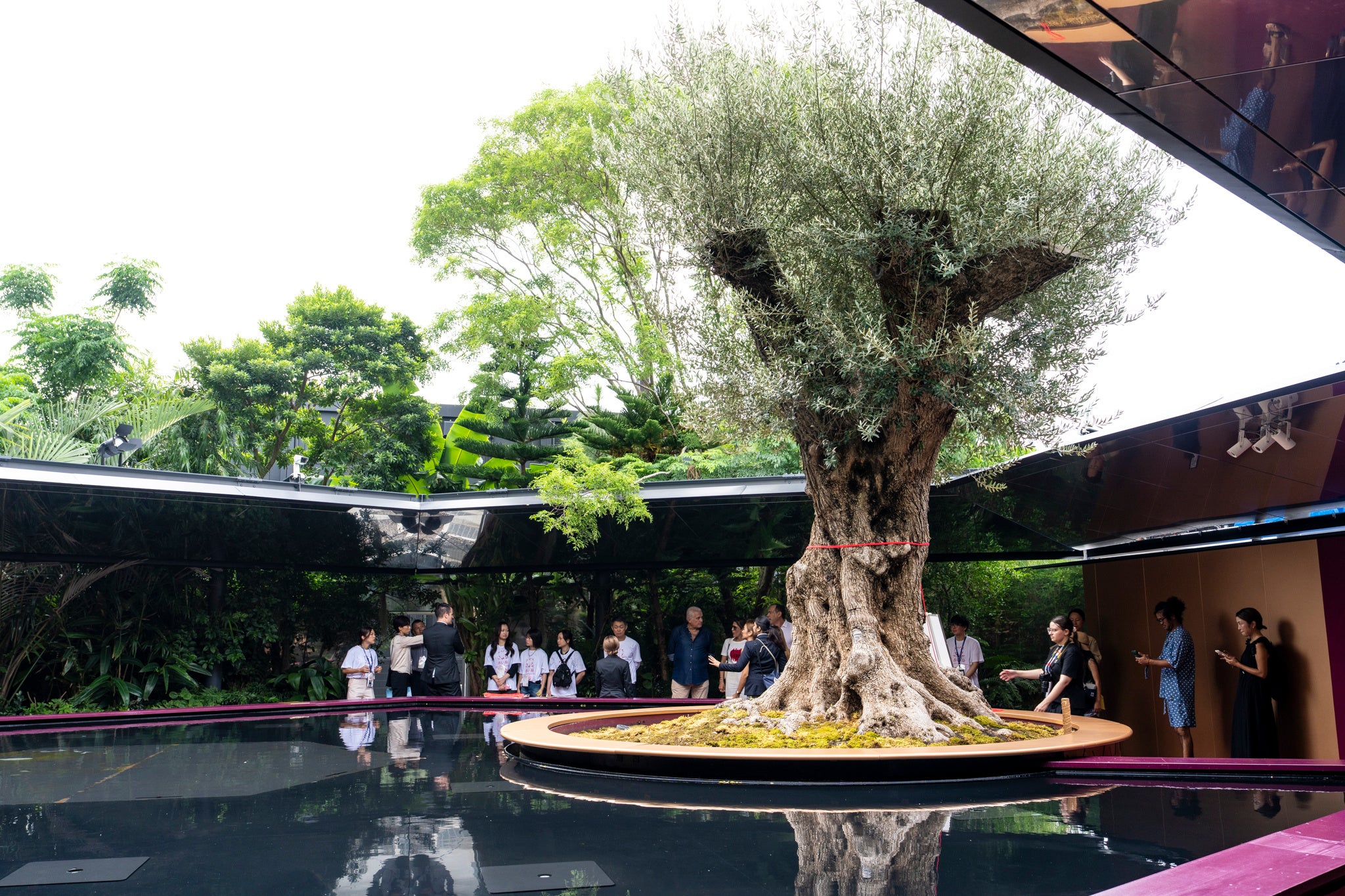 大阪・関西万博2025／ギネス世界記録™を生んだフランス館「奇跡