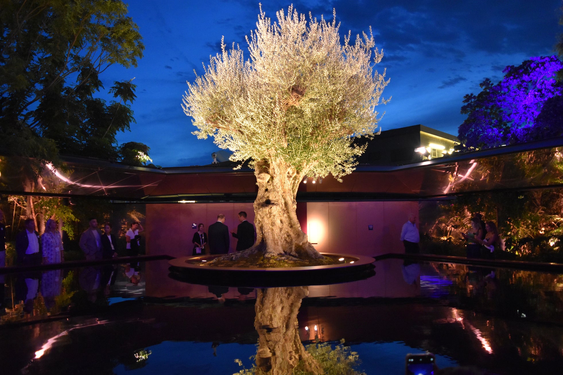 大阪・関西万博2025でギネス世界記録(TM) を生んだ《フランス館の千寿オリーブ》 ニナファームが入札式オークションを開催