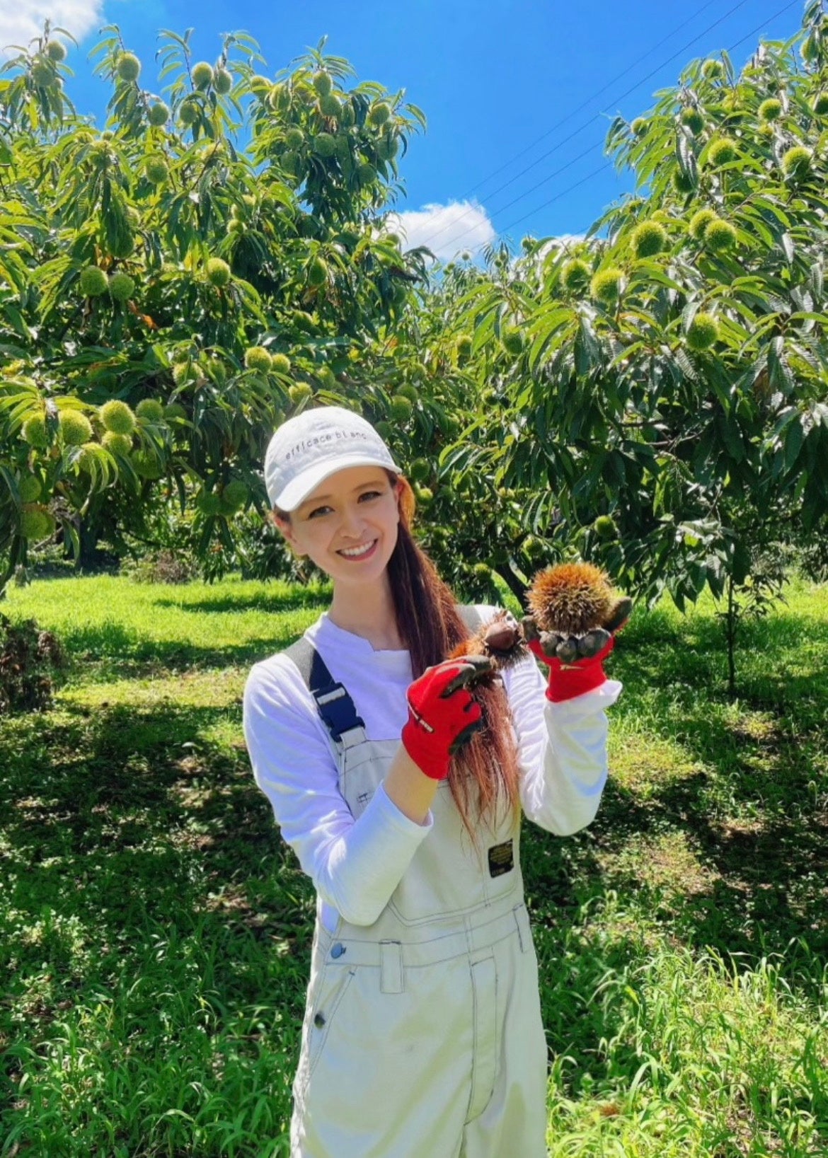 里井さんと「さとい栗」