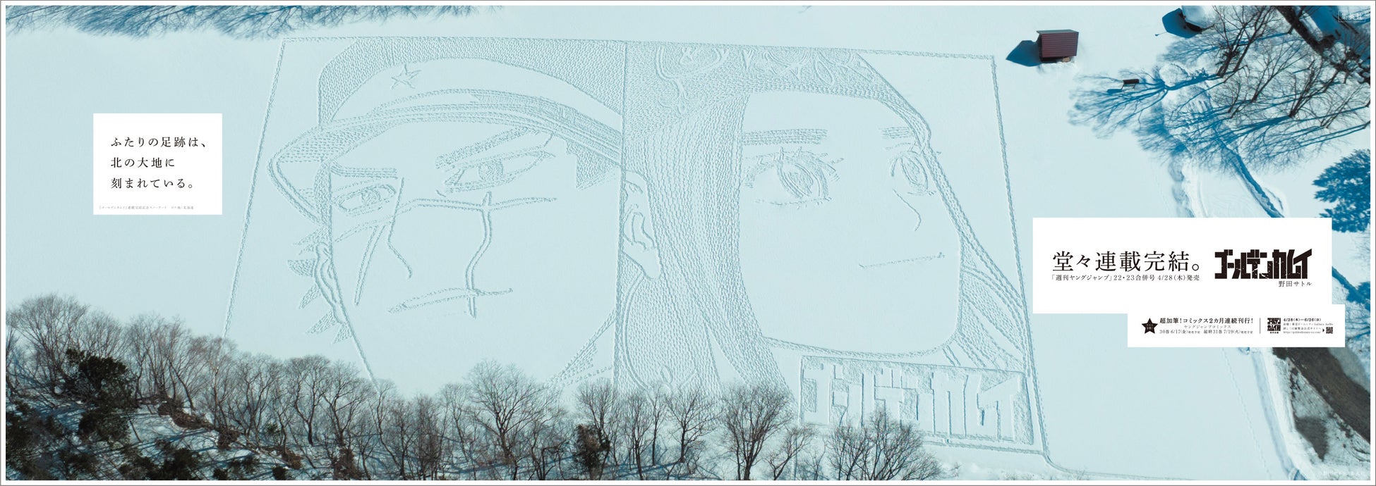 (C)野田サトル/集英社