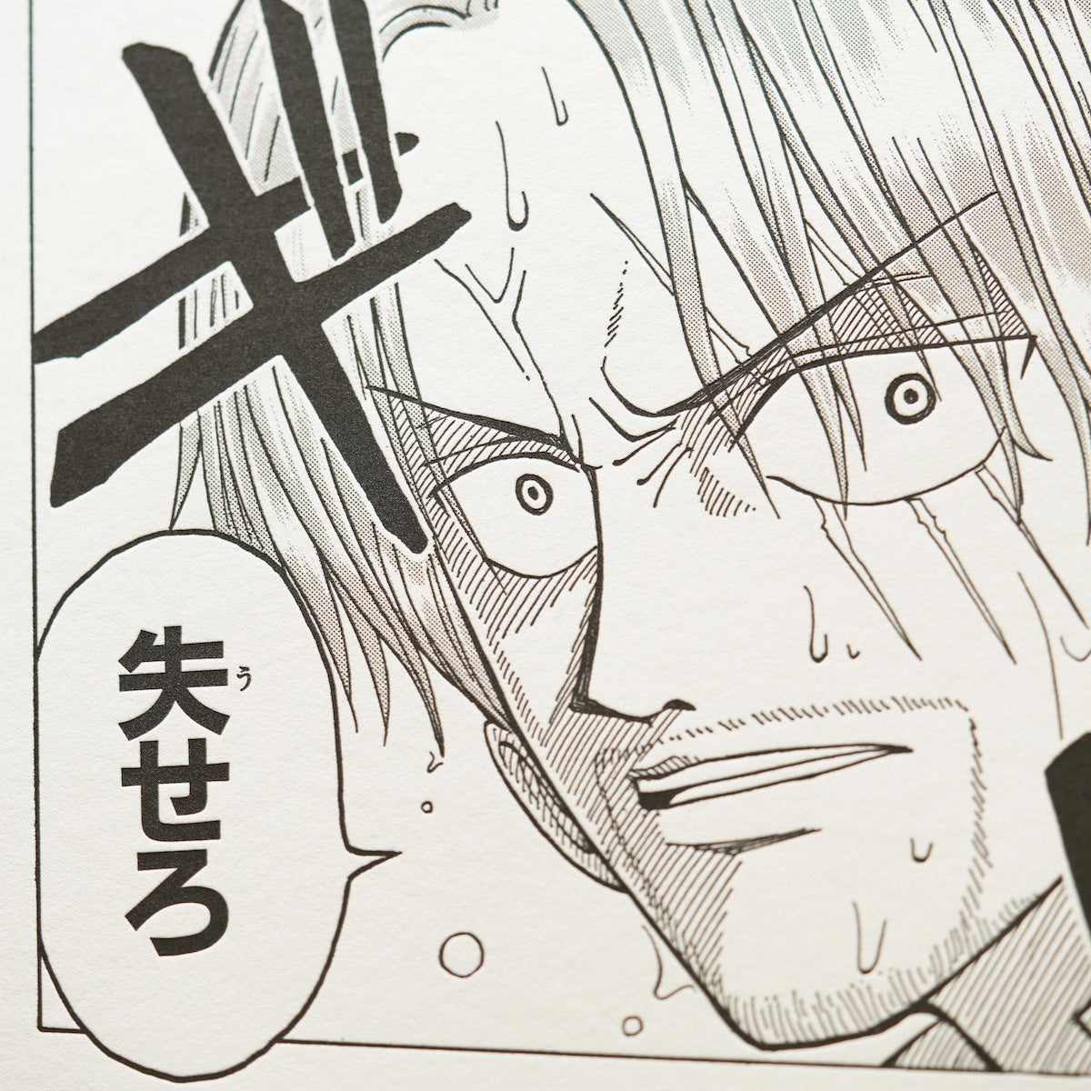  (c)2022, Eiichiro Oda ／Shueisha Inc. All rights reserved.