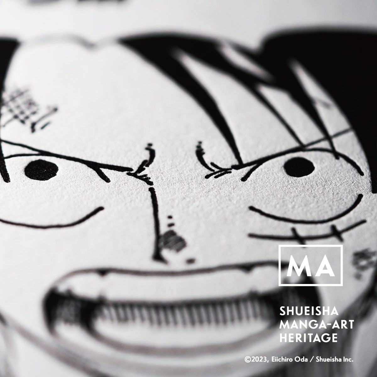 (c)2023, Eiichiro Oda ／Shueisha Inc. All rights reserved.