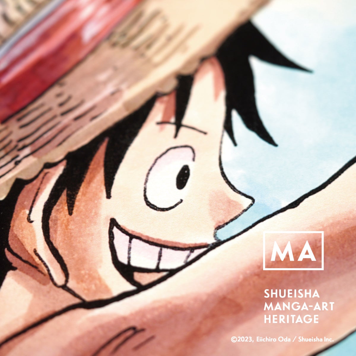 (c)2023, Eiichiro Oda ／Shueisha Inc. All rights reserved.